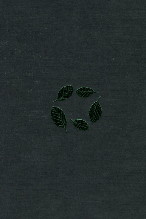 Beech Land - 9786175851791