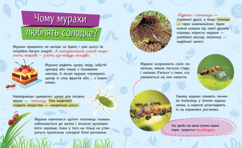 Warum bist du so süß? Insekten