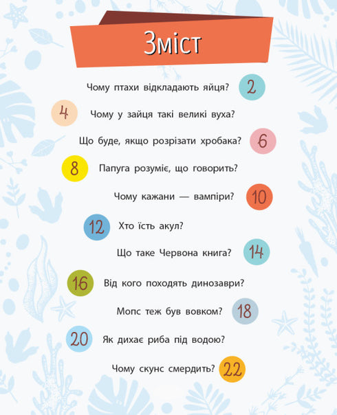 Why are you so cute? Animals