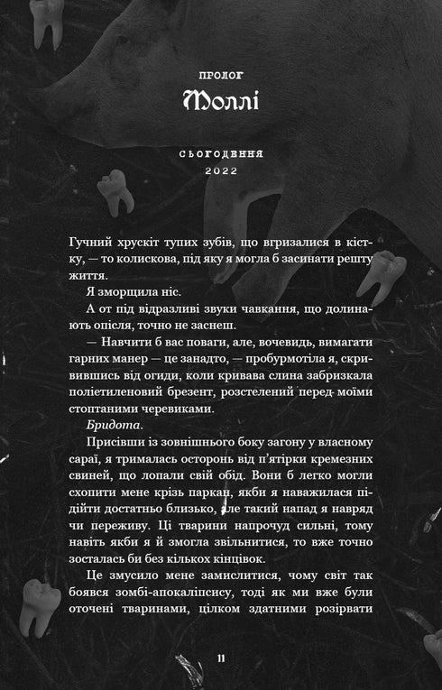 Where is Molly? - 9786175483695