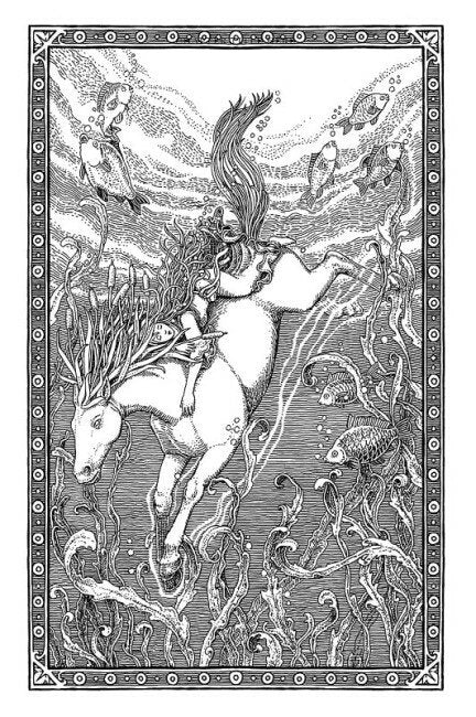 Fantastic beasts and where to find them. Newt Scamander