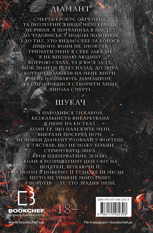 Fangspiel Katze und Maus. Buch 2. Die Jagd auf Adelina