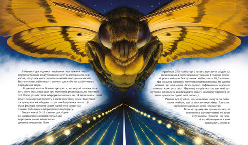 Як зрозуміти тварин. Дослідження та відкриття