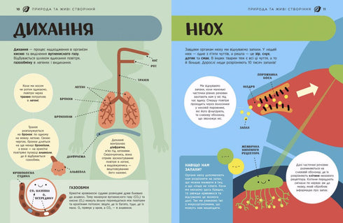 STEM-Enzyklopädie für Kinder. 100 Begriffe des zukünftigen Genies - 9786170992789