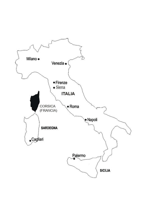 Italienisch in 4 Wochen. Intensivkurs Italienisch mit elektronischer Audio-App.