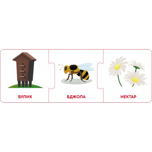 Логічні ланцюжки. Світ тварин. Хто де живе і що їсть