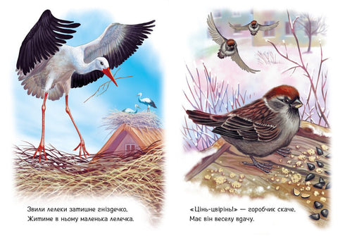 Für die Kleinen über Tiere. Neben uns. Sammlung