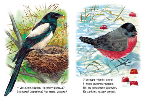 Für die Kleinen über Tiere. Neben uns. Sammlung