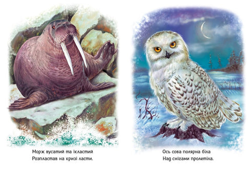 "Little Ones About Animals. The Animals of the World"