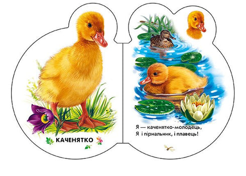 Babies. In the Village