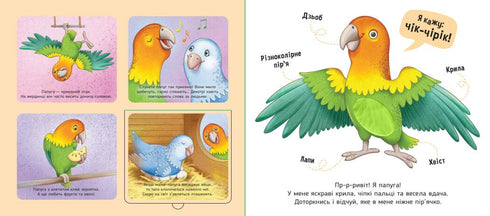 Мої улюбленці