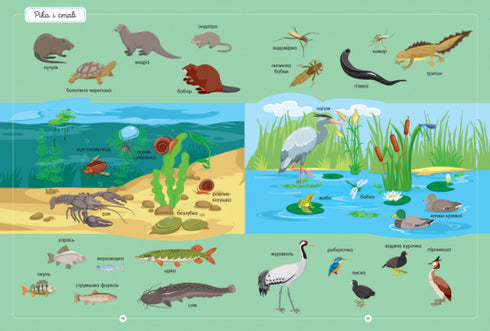 Найкращий словник тварин