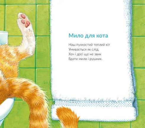 About Cats and Dogs - 9789664484074