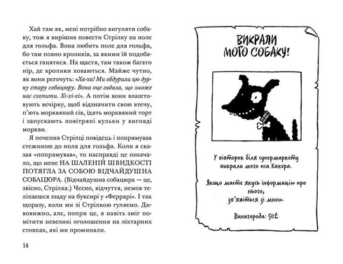 Rocket on four legs under cover