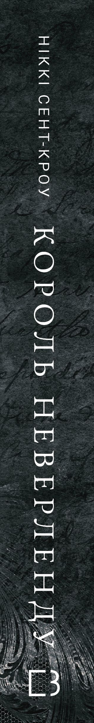 Unzüchtige, verlorene Jungs. Buch 1. Der König von Nimmerland