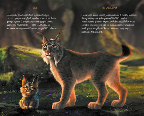 Mavka's Diary. Forest