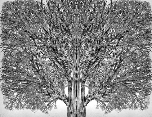 Die Schule des Guten und des Bösen. Der einzige wahre König. Buch 6