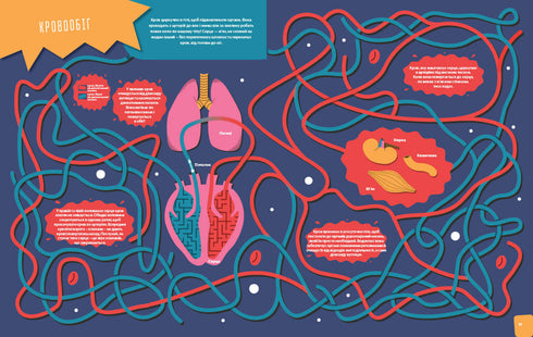 Menschlicher Körper