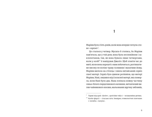 Tausend strahlende Sonnen - 9789664484852