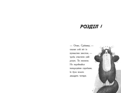 Toto. Die Ninja-Katze und der Fall der gestohlenen Käse. Buch 2