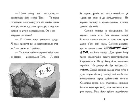 Toto. Die Ninja-Katze und der Fall der gestohlenen Käse. Buch 2