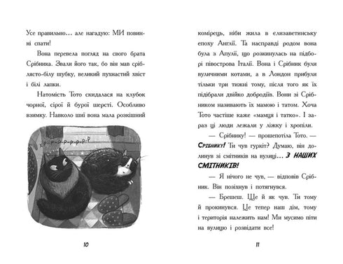 Toto. Die Ninja-Katze und der große Schlangen-Ausbruch. Buch 1