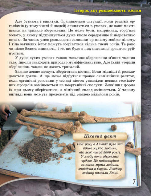 Vom Affen zum Menschen