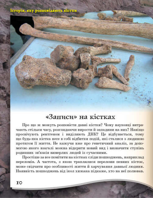 Vom Affen zum Menschen