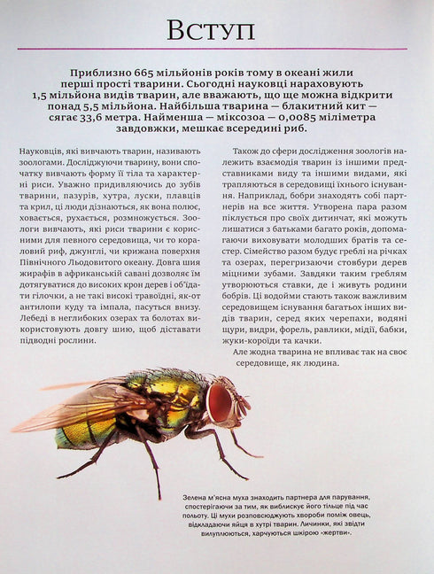 Das große Buch der Tiere - 9786171704794