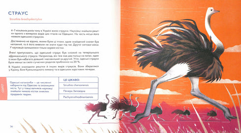 Українські диковиська