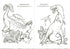 Dinosaurier-Planet. Malbuch. Teil 2