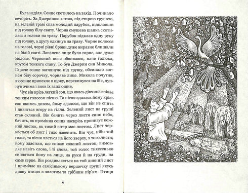 Mykola Dzherya: a novella