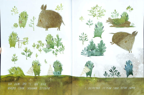 Birthday of the Christmas Tree