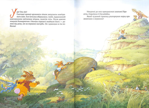 Das große Buch der Hasengeschichten (Sommer-Einband) (Auflage vergriffen)