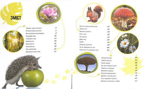 Die Welt und ihre Geheimnisse: Das Leben des Waldes