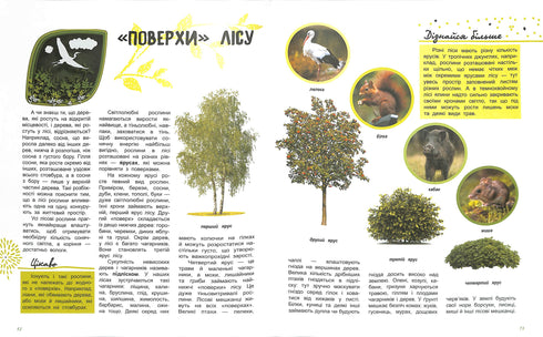 Die Welt und ihre Geheimnisse: Das Leben des Waldes
