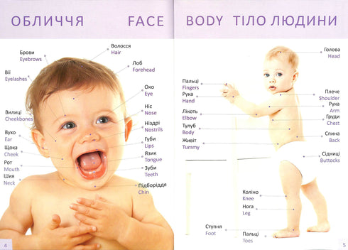 Baby's First Book