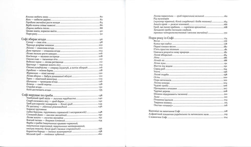 Expedition mit der Ameise Sofi. Wir erkunden die Natur um uns herum.