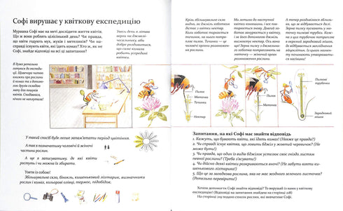 Expedition mit der Ameise Sofi. Wir erkunden die Natur um uns herum.