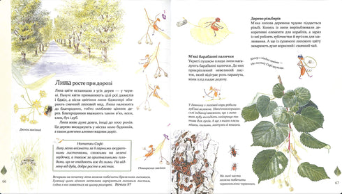 Expedition mit der Ameise Sofi. Wir erkunden die Natur um uns herum.