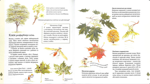 Expedition mit der Ameise Sofi. Wir erkunden die Natur um uns herum.