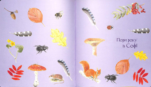 Expedition mit der Ameise Sofi. Wir erkunden die Natur um uns herum.