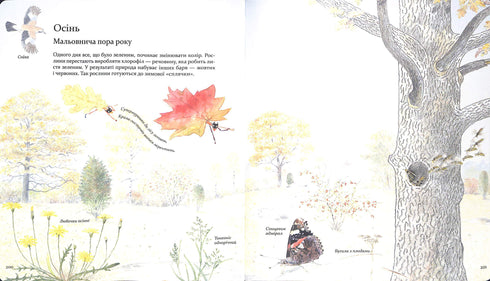 Expedition mit der Ameise Sofi. Wir erkunden die Natur um uns herum.