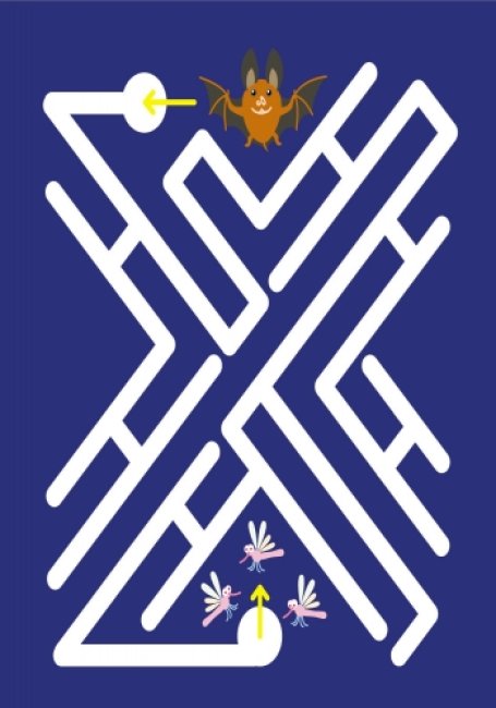 Багаторазові лабіринти. Їжачок