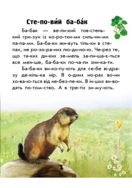 Моя Україна. Читаємо по складах: Тваринний світ лугів і степів