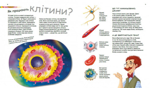 Герої та лиходії в нашому тілі