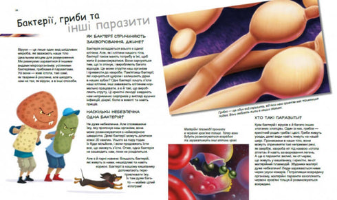 Герої та лиходії в нашому тілі