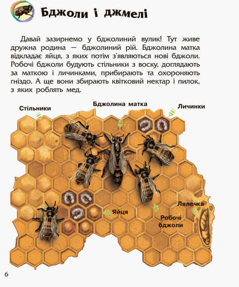 Enzyklopädie für Vorschulkinder. Insekten (Auflage vergriffen)