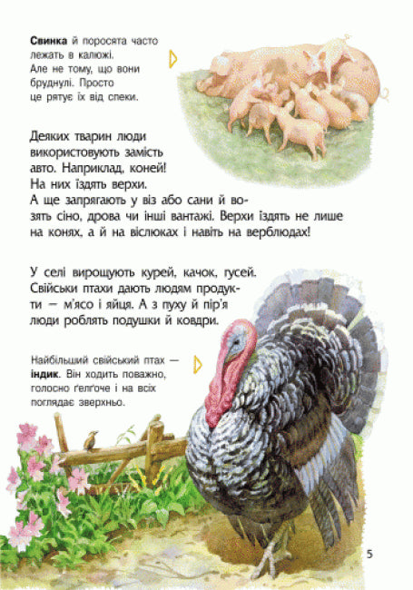 Enzyklopädie des Vorschulkindes. Tiere