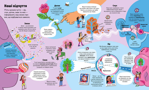 The Big Book About the Body